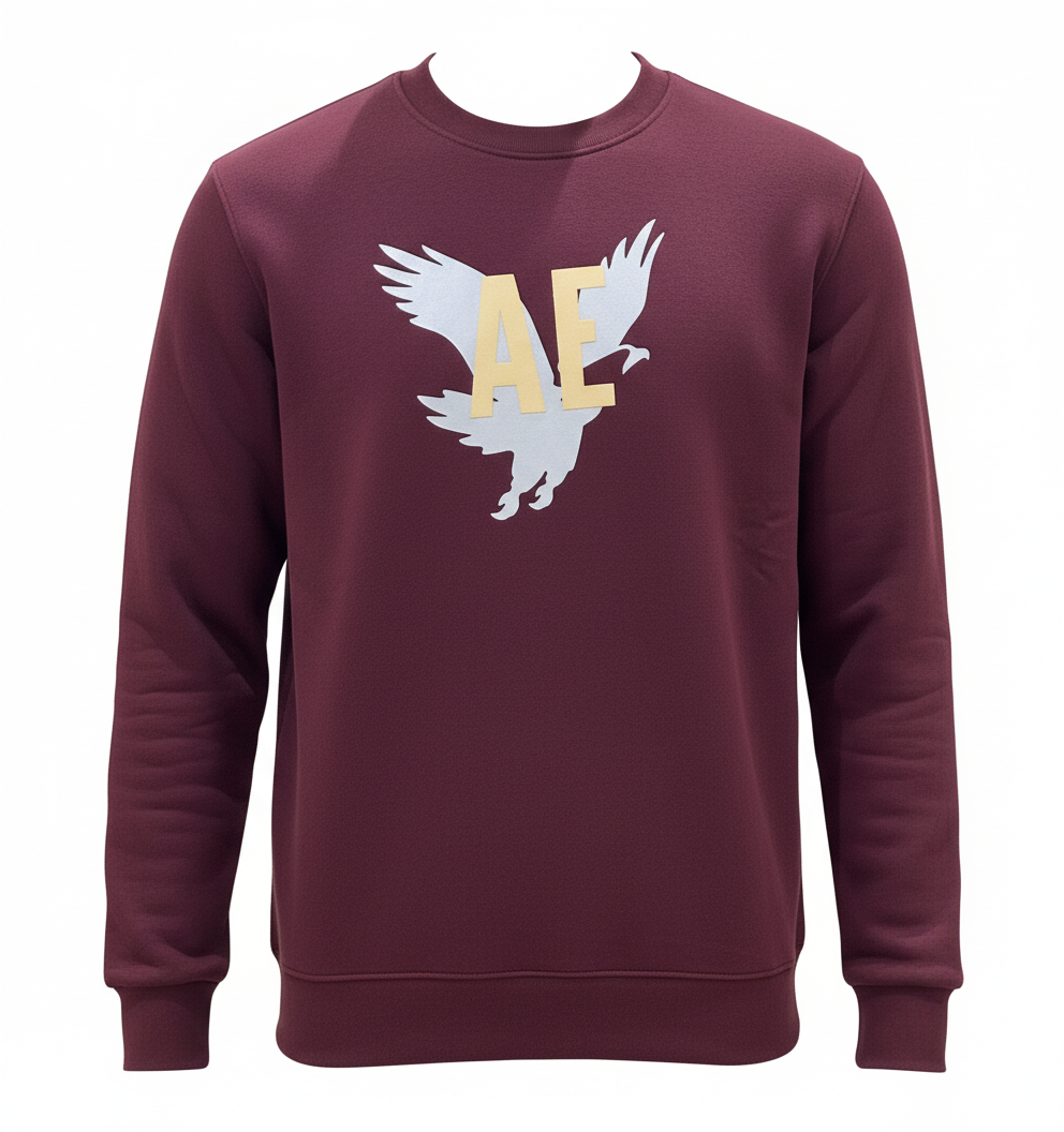 American Eagle printed sweatshirt