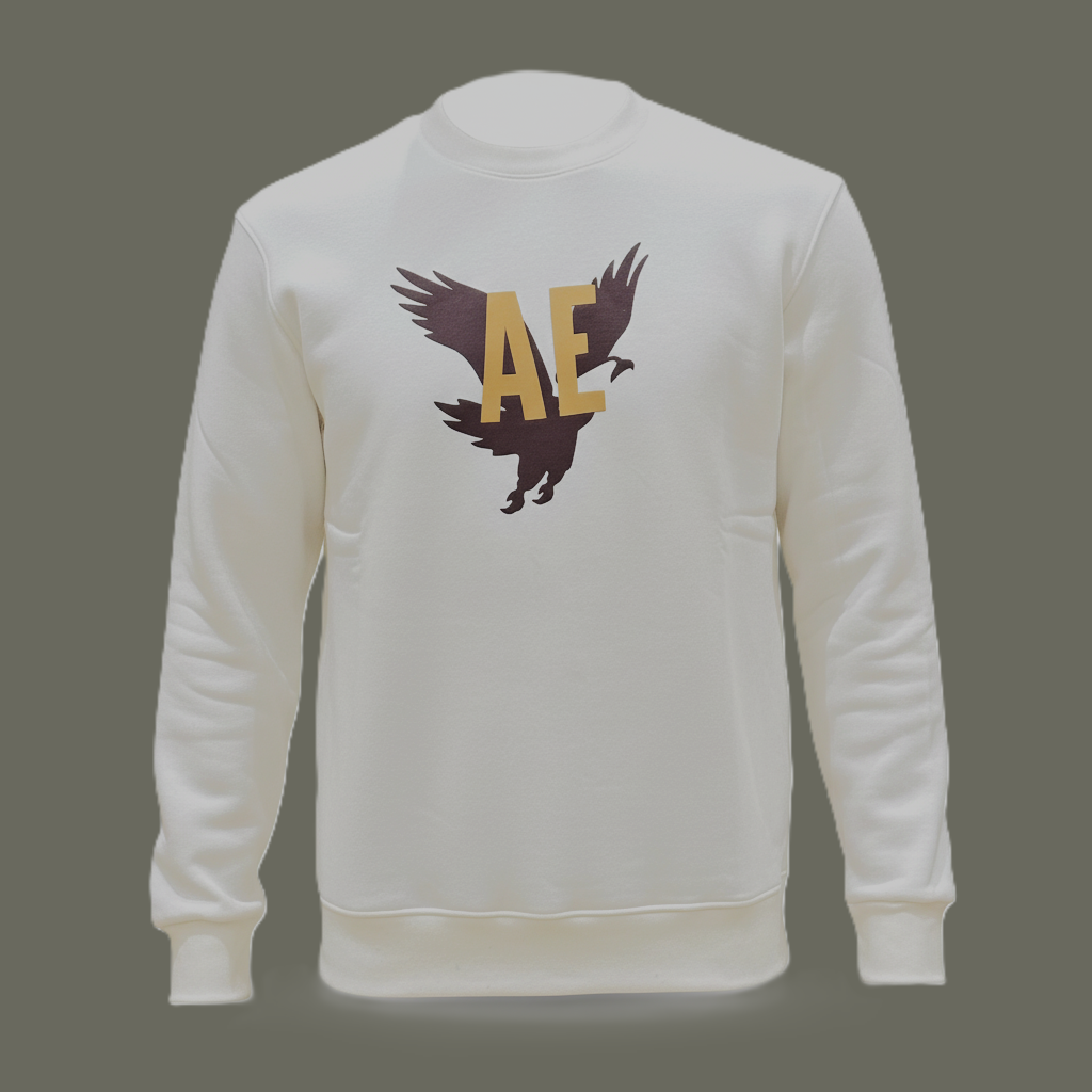 American Eagle printed sweatshirt
